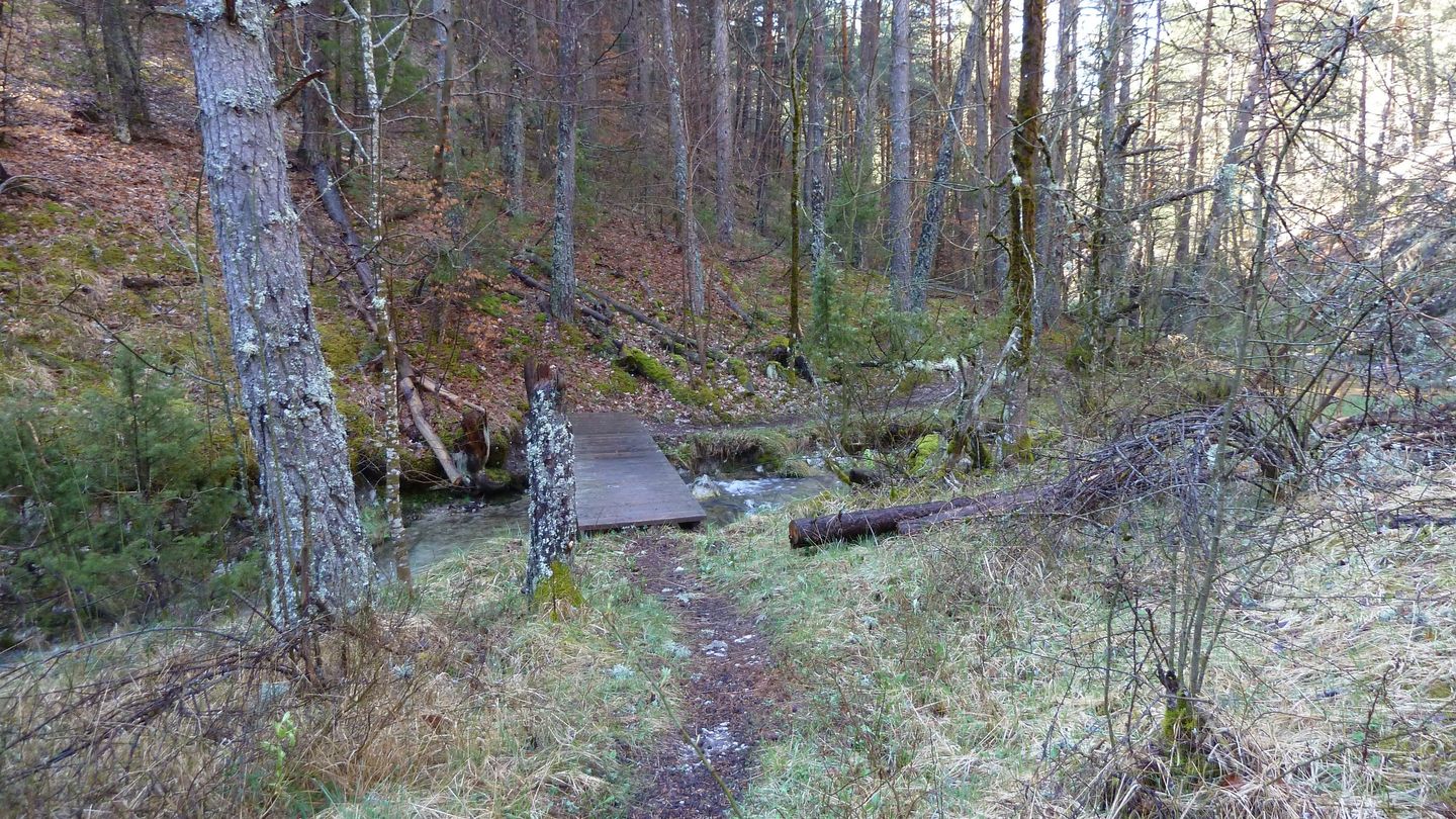 P1000472.JPG