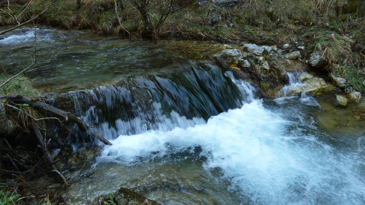 P1000478.JPG