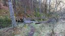 P1000472.JPG