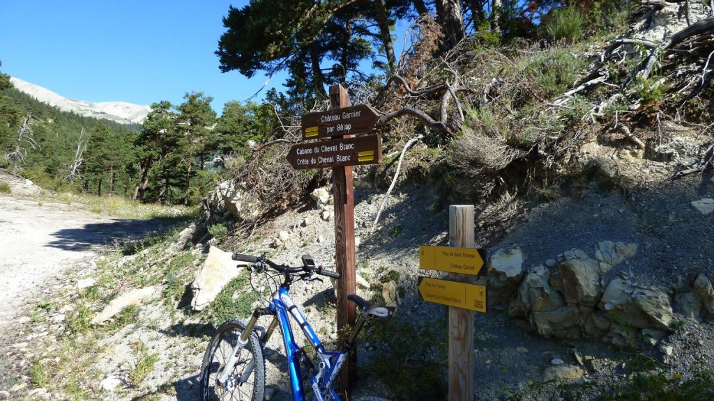 bois_de_favier_2013_032.jpg
