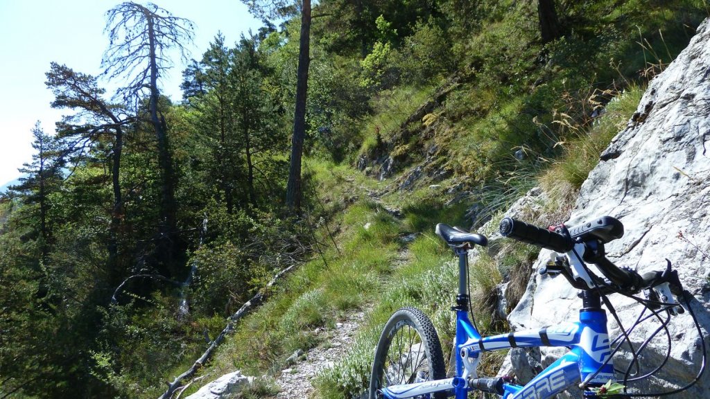 bois_de_favier_2013_054.jpg