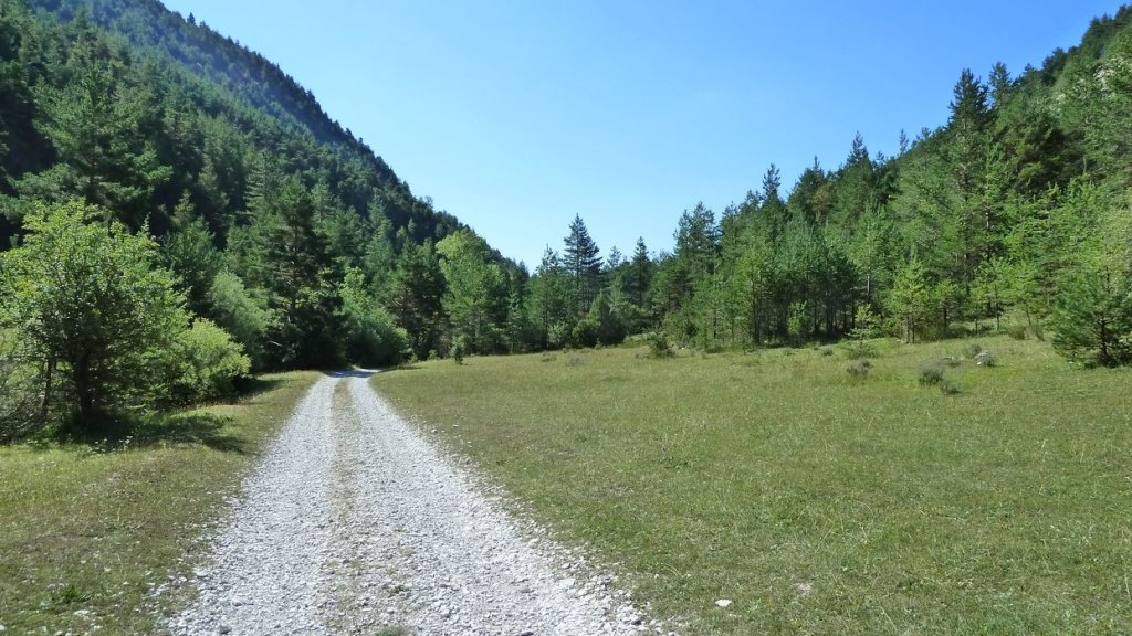 bois_de_favier_2013_070.jpg