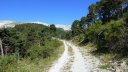 bois_de_favier_2013_030.jpg