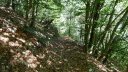 bois_de_favier_2013_048.jpg