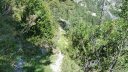 bois_de_favier_2013_050.jpg