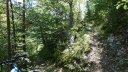 bois_de_favier_2013_058.jpg