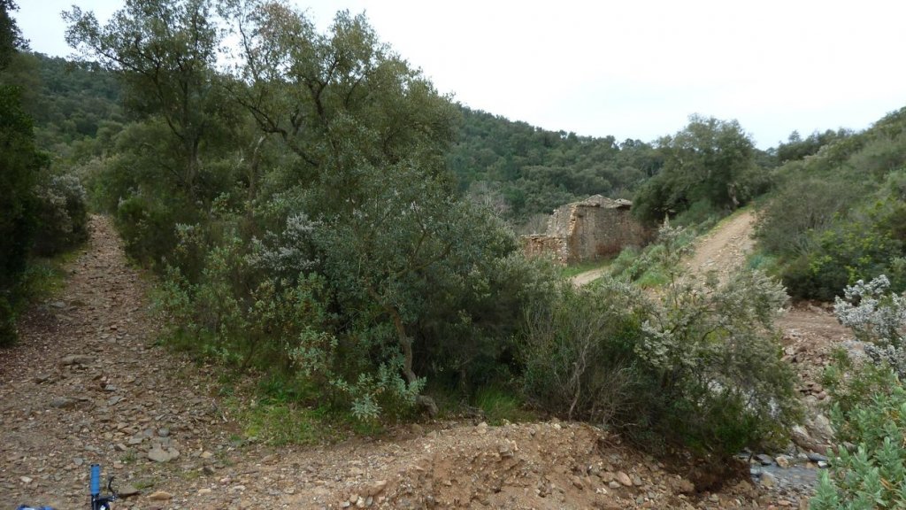P1110117.JPG