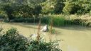 boucle_chateauvallon_2012_012.jpg
