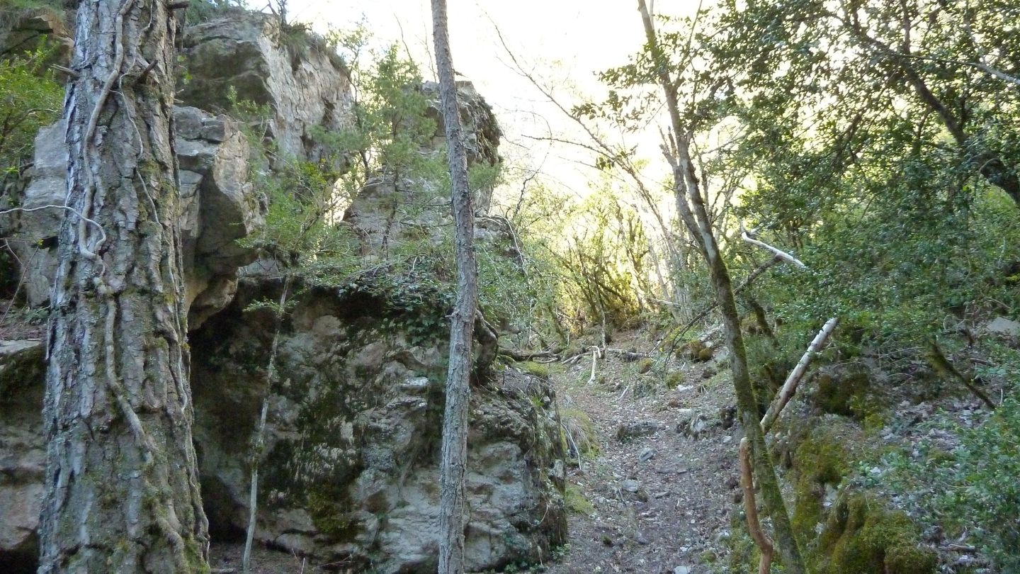 branchaie_avril_2017_040.JPG