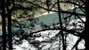 branchaie_avril_2017_034.JPG