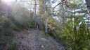 branchaie_avril_2017_061.JPG