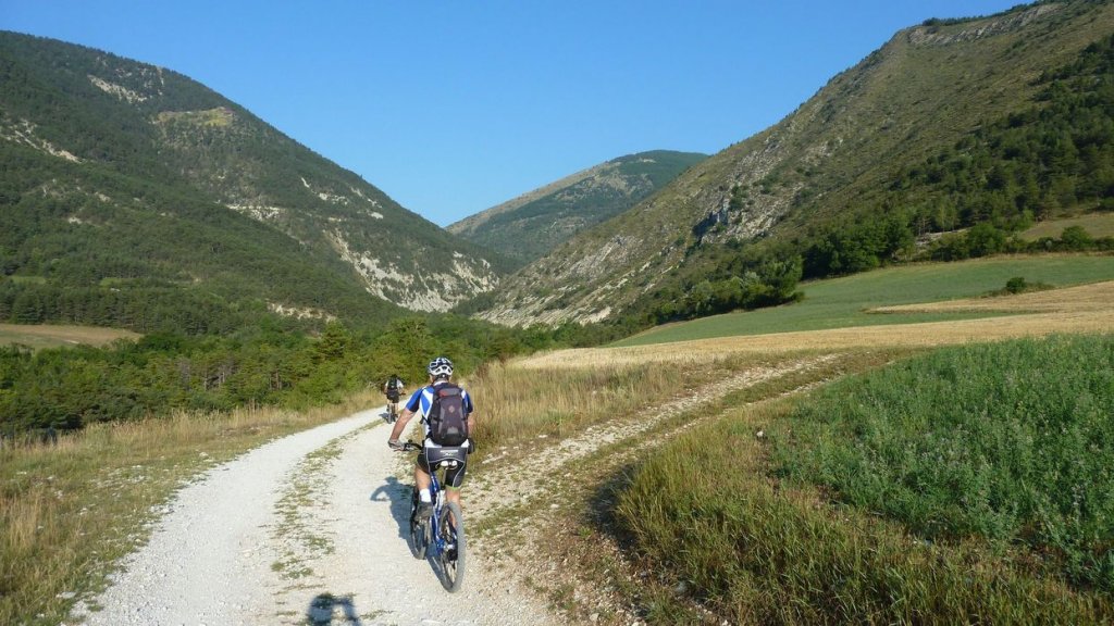 cheval_blanc_aout_2015_019.JPG