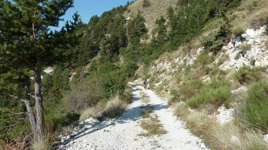 cheval_blanc_aout_2015_053.JPG
