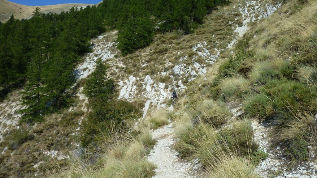 cheval_blanc_aout_2015_095.JPG