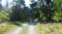 cheval_blanc_aout_2015_063.JPG