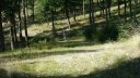 cheval_blanc_aout_2015_083.JPG