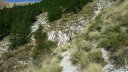 cheval_blanc_aout_2015_095.JPG