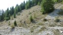 cheval_blanc_aout_2015_131.JPG