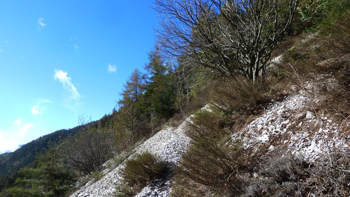 cab_cheval_blanc_avril_2018_013.JPG