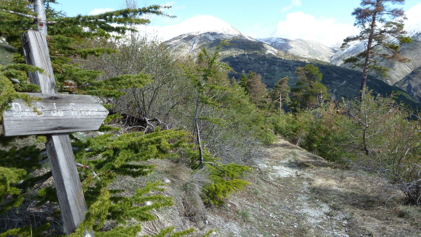 cab_cheval_blanc_avril_2018_079.JPG