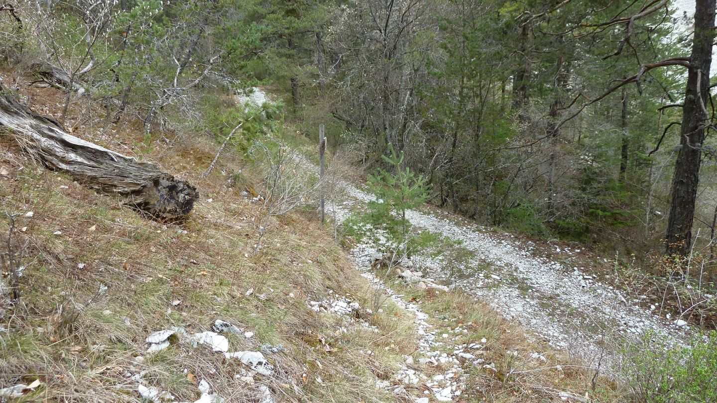cab_cheval_blanc_avril_2018_087.JPG