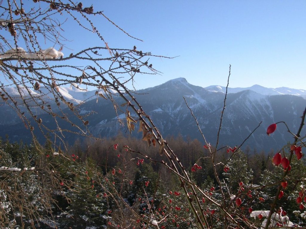 cabane_piche_dec_2004_002.jpg