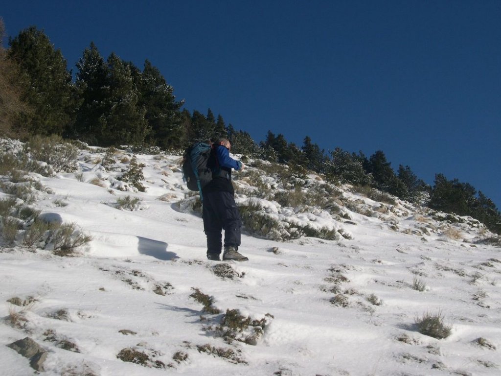 cabane_piche_dec_2004_010.jpg