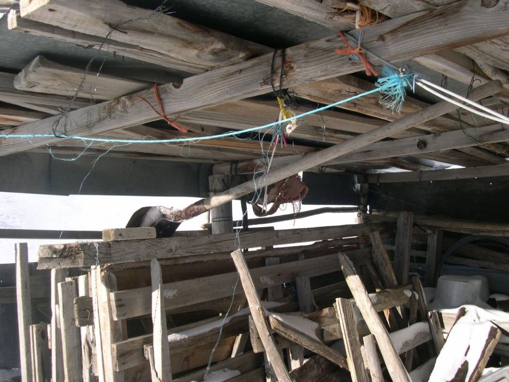 cabane_piche_dec_2004_031.jpg