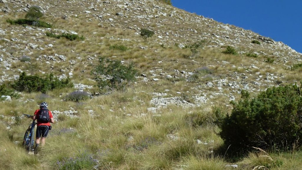 chalufy_vachieres_aout_2012_078.jpg