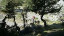 chalufy_vachieres_aout_2012_036.jpg