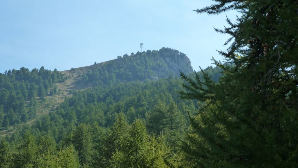 cabane_defend_aout_2012_108.jpg