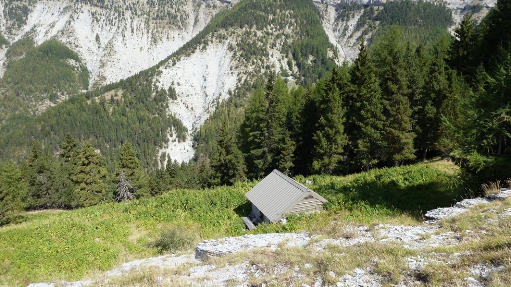 cabane_defend_aout_2012_170.jpg