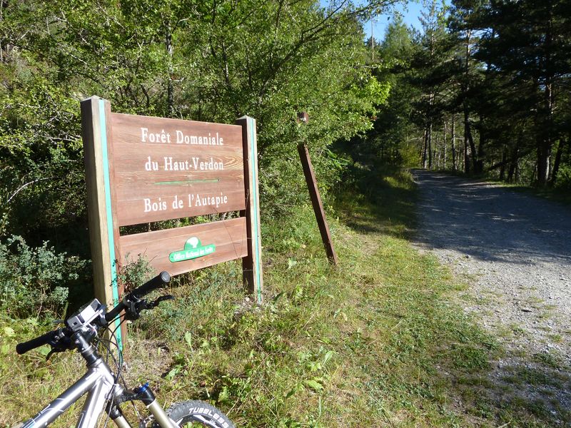 cabane_autapie_2011_011.jpg