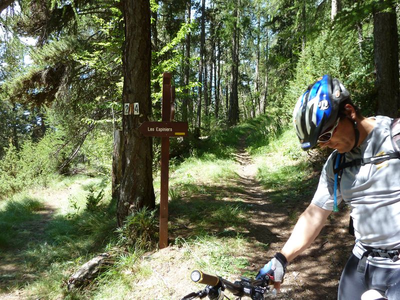 cabane_autapie_2011_069.jpg