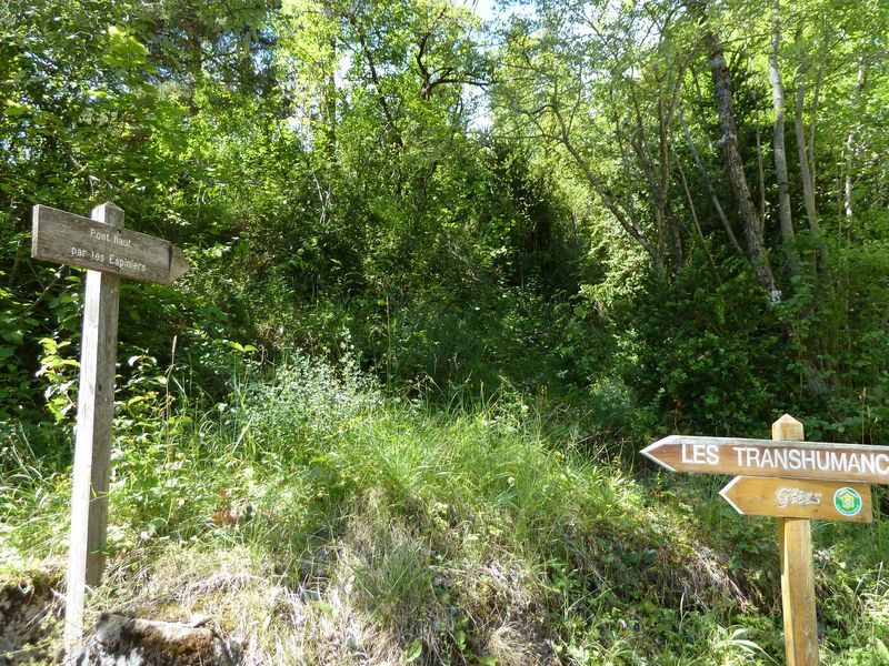 cabane_autapie_2011_081.jpg