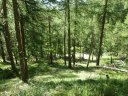 cabane_autapie_2011_029.jpg