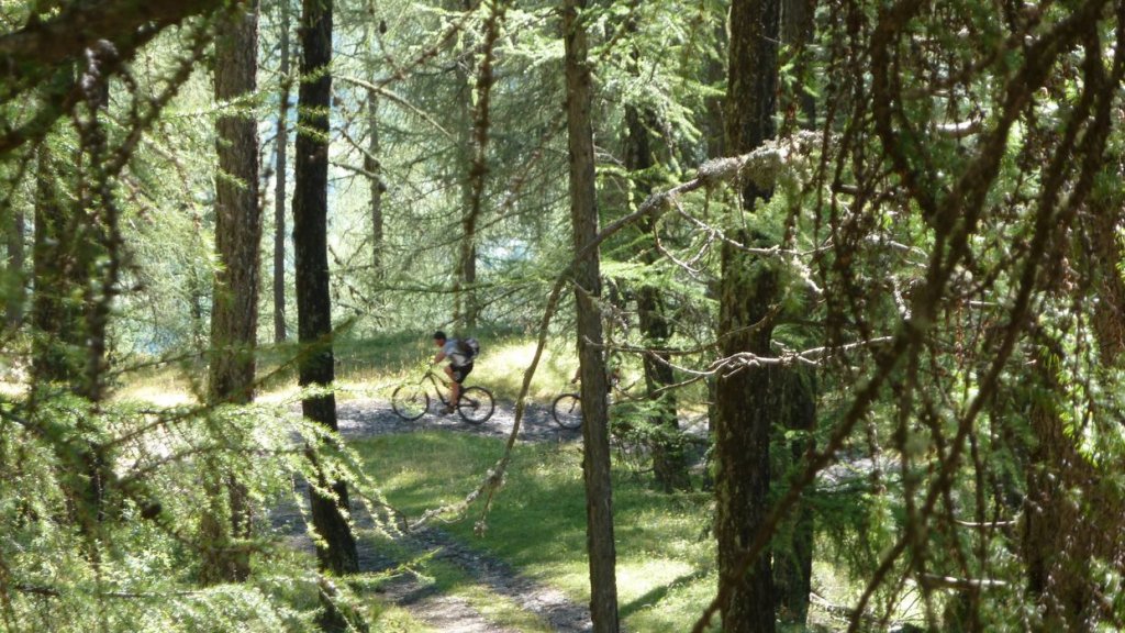 cabane_autapie_2013_016.jpg