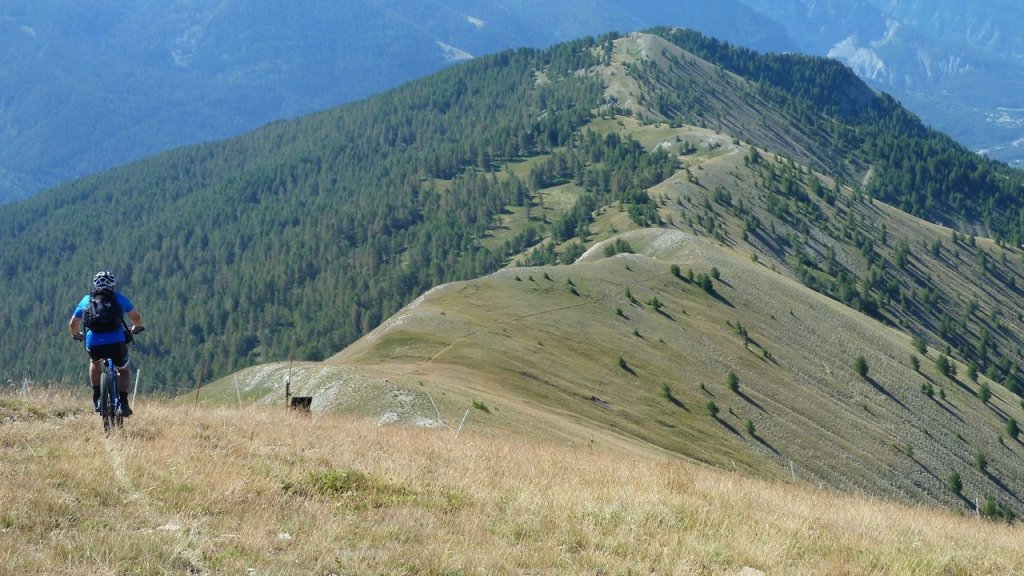 cabane_autapie_aout_2016_099.JPG