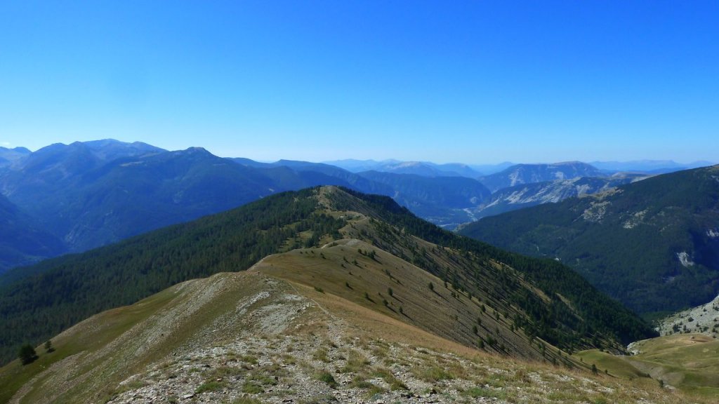 cabane_autapie_aout_2016_109.JPG