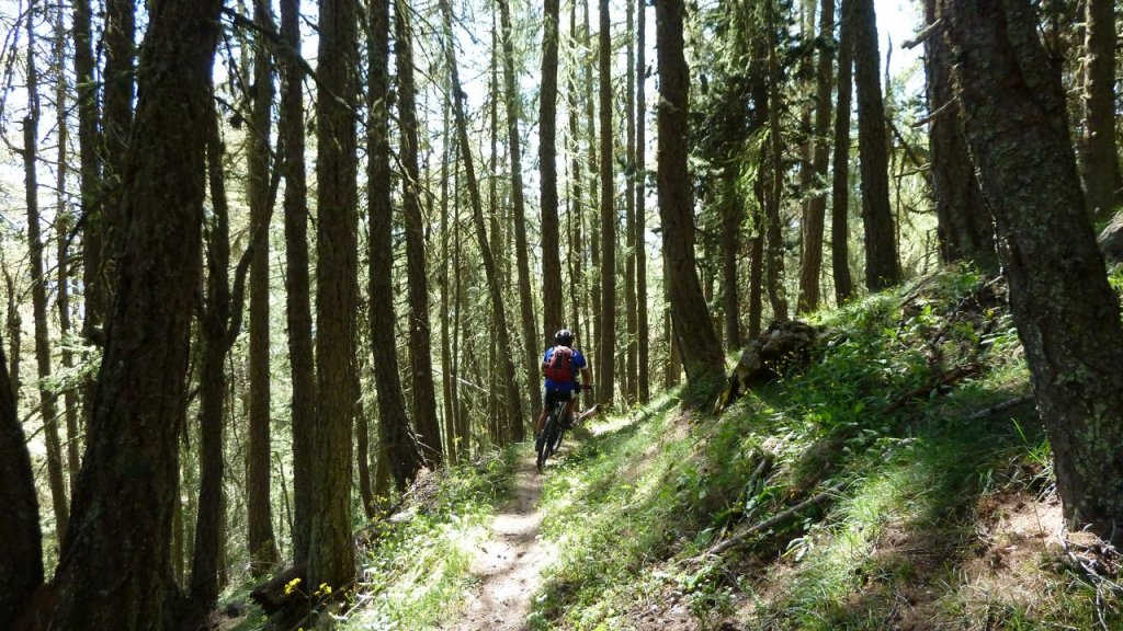 cabane_autapie_aout_2016_161.JPG