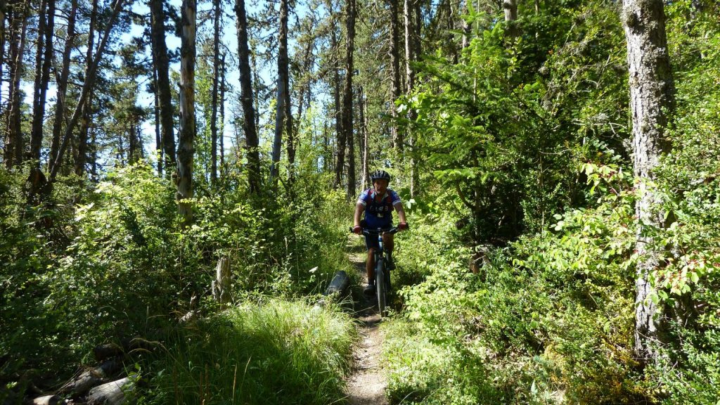 cabane_autapie_aout_2016_169.JPG