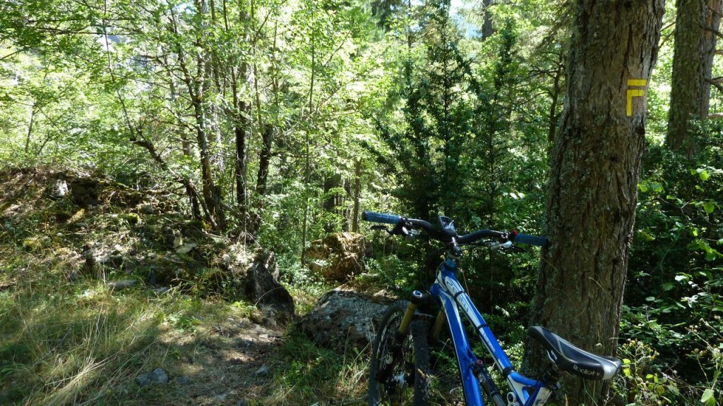 cabane_autapie_aout_2016_171.JPG