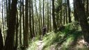 cabane_autapie_aout_2016_161.JPG
