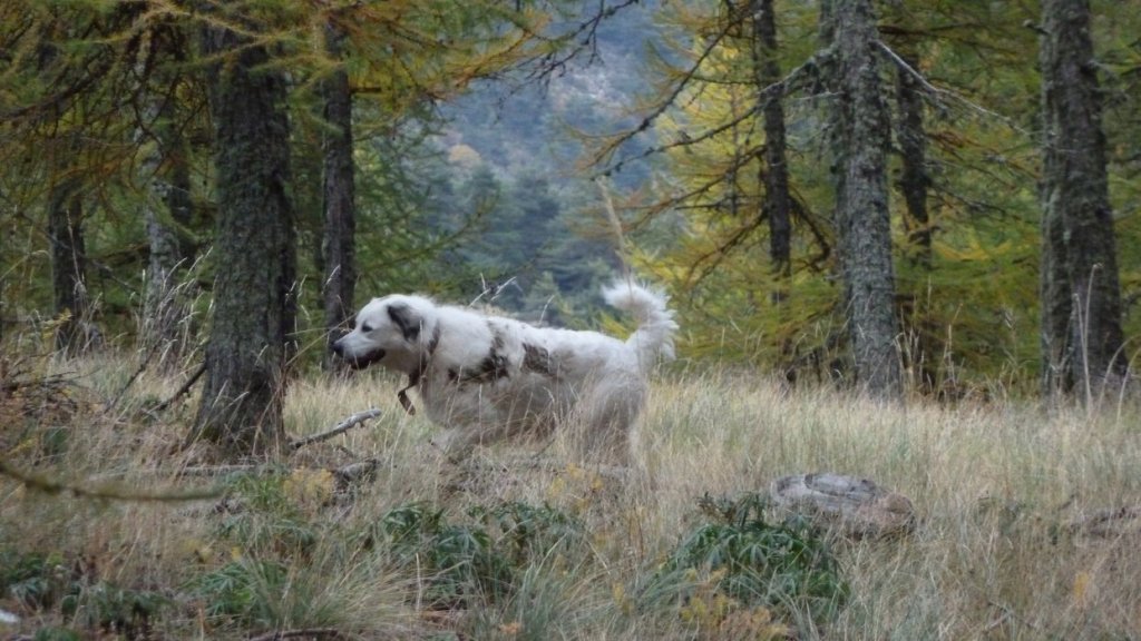 cab_cheval_blanc_oct_2013_028.jpg
