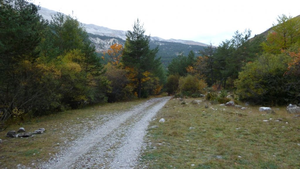 cab_lachen_2013_004.jpg