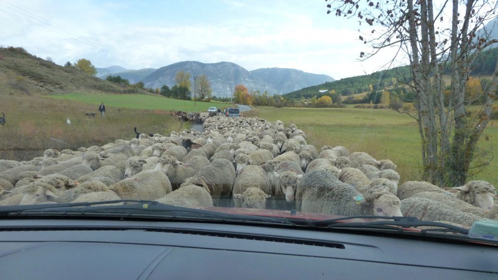 cab_lachen_2013_082.jpg