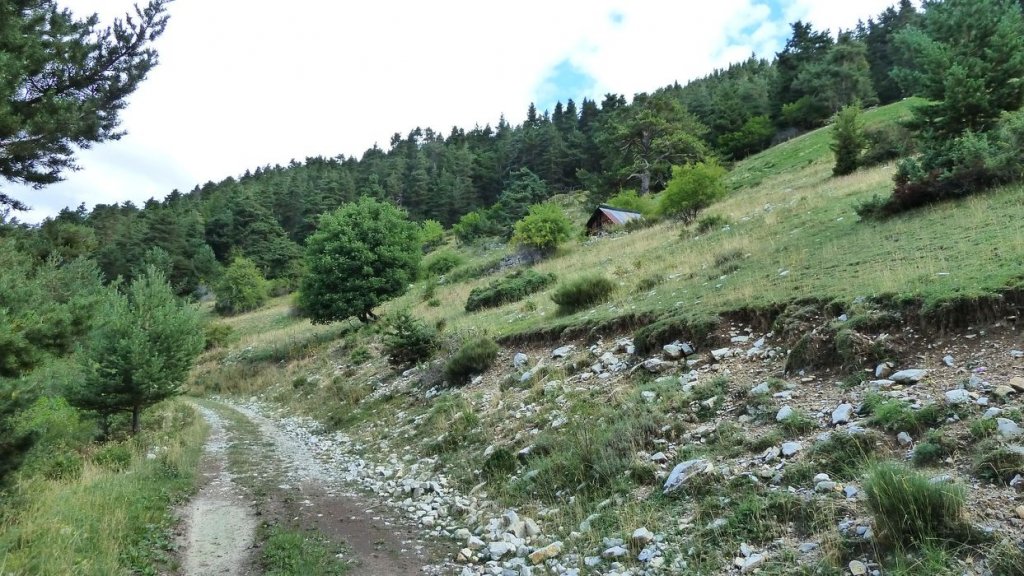 cabane_mont_aout_2015_177.JPG
