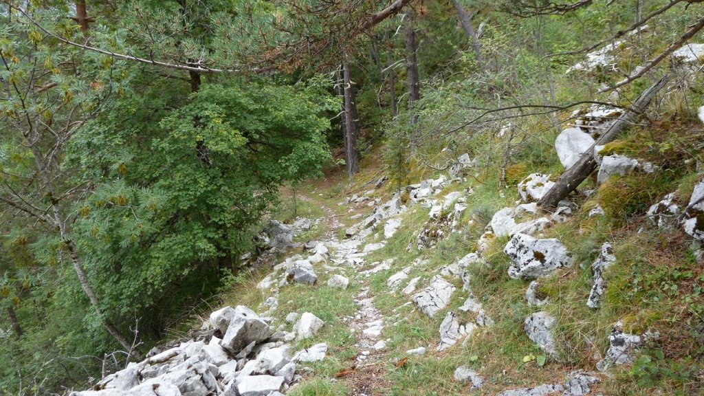 cabane_mont_aout_2015_211.JPG