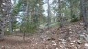 cabane_mont_aout_2015_091.JPG