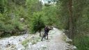 cabane_mont_aout_2015_213.JPG